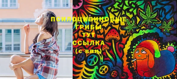 ГАЛЛЮЦИНОГЕННЫЕ ГРИБЫ Волосово