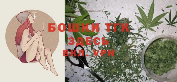 ГАЛЛЮЦИНОГЕННЫЕ ГРИБЫ Волосово
