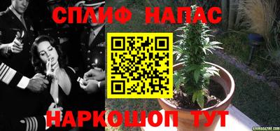 дмт Обнинск