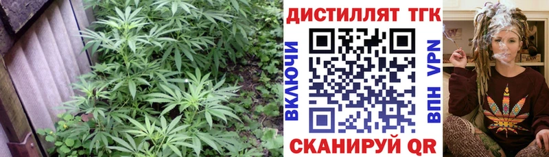 Дистиллят ТГК Wax  blacksprut как войти  Муром 