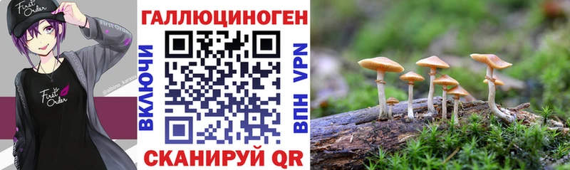 купить наркоту  Муром  mega ссылки  Псилоцибиновые грибы Magic Shrooms 