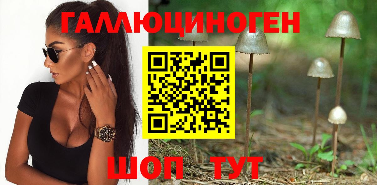 Псилоцибиновые грибы GOLDEN TEACHER Муром
