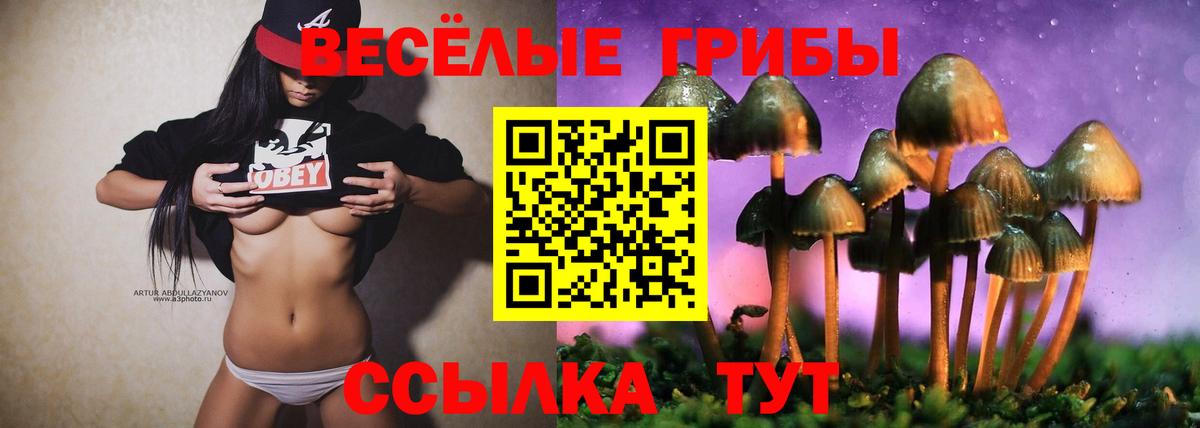 Галлюциногенные грибы мицелий  Галлюциногенные грибы ЛСД  Вход с VPN  Муром 